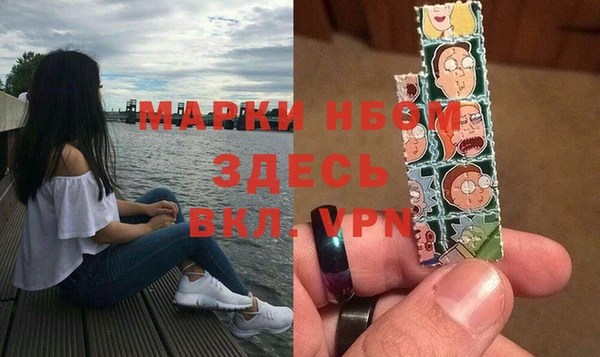 ешки Алексин
