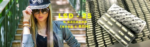 прущие грибы Алексеевка