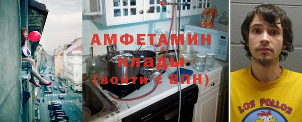 ешки Алексин