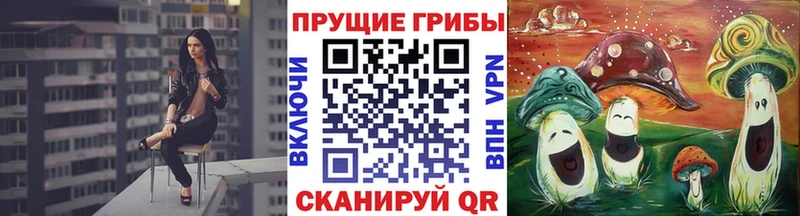 Псилоцибиновые грибы Psilocybe  Чусовой 